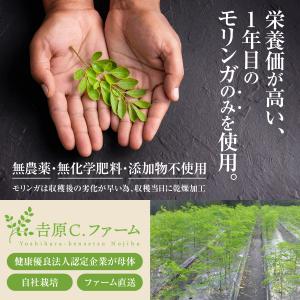モリンガ パウダー 50g 国産 100% モ...の詳細画像1