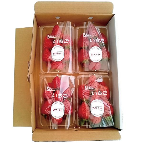 いちご 朝摘み品種色々 1kg以上 送料無料 岡山県産 イチゴ 苺