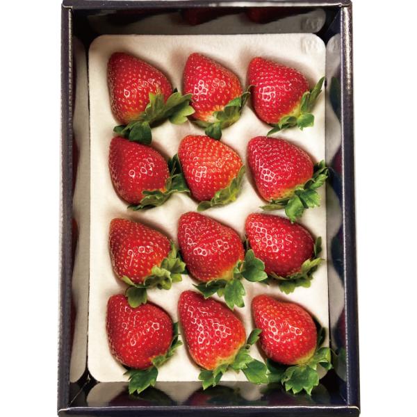 いちご 贈答用 朝摘みLaLa Berry（おいCベリー） 12粒 380ｇ 送料無料 岡山県産 イ...