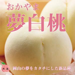 もも おかやま夢白桃 8〜14玉 約3kg 岡山県産 送料無料 お中元 夏ギフト モモ 桃｜yoshii-nouen