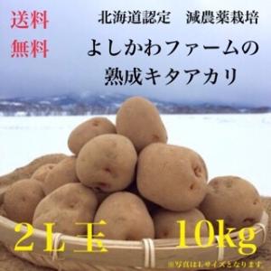 減農薬栽培 熟成100日 じゃがいも（キタアカリ）  北海道産  熟成じゃがいも （2L玉 10 kg）≪ 農家直送 ≫  ようてい山麓 ルスツ産じゃがいも