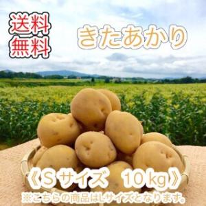 減農薬栽培 じゃがいも ＜ きたあかり ＞  北海道産 じゃがいも  （ S 規格  10 kg）≪ 農家直送 ≫  ようてい山麓ルスツ産  じゃがいも  キタアカリ