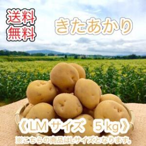 減農薬栽培 じゃがいも ＜ きたあかり ＞  北海道産 じゃがいも  （ LM 規格  5 kg）≪ 農家直送 ≫  ようてい山麓ルスツ産  じゃがいも  キタアカリ
