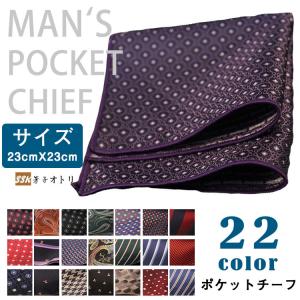 チーフ ポケットチーフ 結婚式 卒業式 パーティー ビジネス