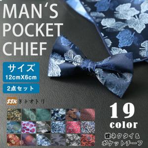 ポケットチーフ 蝶ネクタイ キッズ 2点セット スーツ