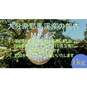 ぎんなんギンナン銀杏M（Ｌサイズ相当品）（大分県耶馬溪産）１ｋｇ