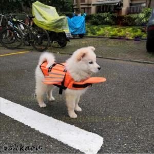 犬 ライフジャケット 小動物 救命胴衣 ペット...の詳細画像4