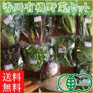 香川産 有機野菜セット レギュラーコース 12~13品/旬の野菜詰め合せ/オーガニック