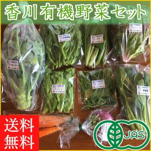 香川産 有機野菜セット ライトコース 7~8品/旬の野菜詰め合せ/オーガニック