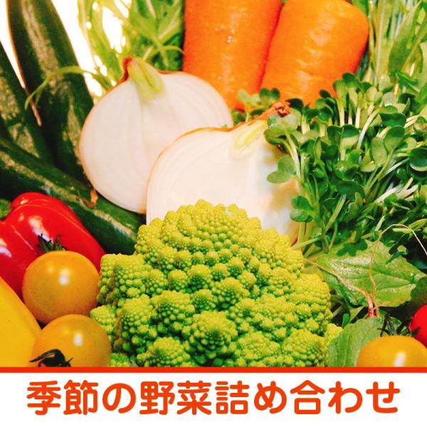 【野菜 詰め合わせ】皇室献上農家が作る季節の野菜 箱詰め 2.5キロ ご自宅用