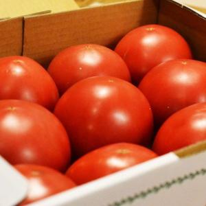 ＜送料無料＞令和元年皇室献上トマト 2kg 箱入り