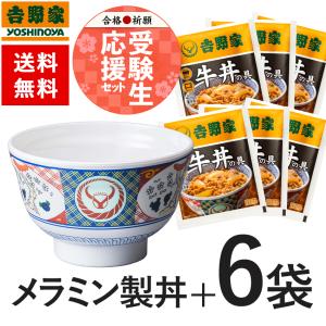 吉野家公式ショップ 受験生応援セット（牛丼120g×6袋とメラミン製丼）【数量限定】 吉野家 牛丼の具 吉野家牛丼の具 牛丼 レトルト 牛丼の素