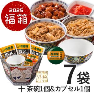 吉野家公式ショップ　2024福箱【辰】セット3品6袋＋どんぶり柄茶碗1個＆ミニチュア1個(牛丼 /豚丼 /焼鶏/各2袋/ ミニチュア1個/どんぶり柄茶碗1個)