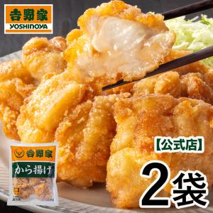吉野家 公式【冷凍】から揚げ 500g（250g×2袋) お試し 仕送り 買い置き 時短 グルメ 冷凍食品 ストック 時短 簡単 ギフト 同梱にオススメ｜吉野家公式ショップ
