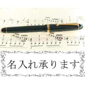 PILOT 万年筆 カスタム74 CUSTOM74 ダークグリーン FKKN-12SR-DG  ペン...