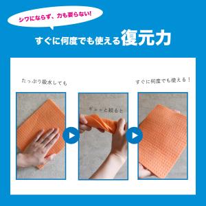 5枚入りセルロースクロス スポンジワイプ エコ...の詳細画像3