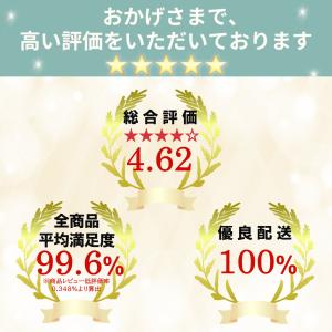 フィットネスシューズ 室内 メンズ レディース...の詳細画像1