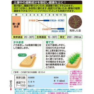 緑肥用種子 ソルガム 緑肥用ソルゴー 1kg【...の詳細画像1