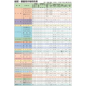 緑肥用種子 ソルガム 緑肥用ソルゴー 1kg【...の詳細画像2