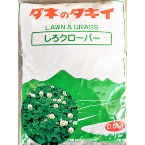 【緑肥　景観用種子】しろクローバー　フィア（500ｇ）【シロツメグサ】【グランドカバー】【雑草抑制効果】【緑肥】