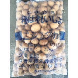 【８月初旬〜中旬ごろ発送予定】じゃがいも種子　西豊　ニシユタカ　10ｋｇ　S~Lサイズ　（1kｇ/約10個程）【種芋】【検品合格済】【馬鈴薯種子】