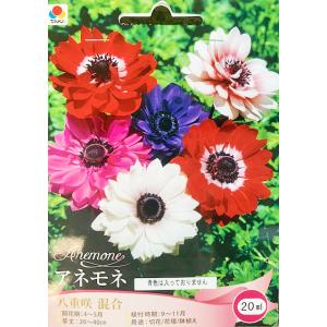 アネモネ球根 八重咲混合 20mlの商品画像