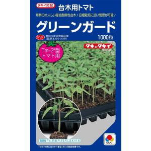 SK9-099 ブロッコリー種子 ペレット5000粒 【野菜種子】【サカタのタネ