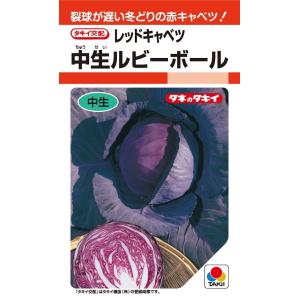 おはよう ブロッコリー種子 5000粒 【野菜種子】 【サカタのタネ