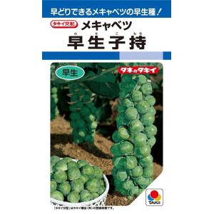 ねぎ 森の奏で ペレット種子5000粒 トキタ種苗 : グリーンロフトネモト