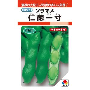 SK9-099 ブロッコリー種子 2000粒 【野菜種子】【サカタのタネ
