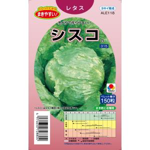 SK9-099 ブロッコリー種子 ペレット5000粒 【野菜種子】【サカタのタネ