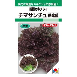 SK9-099 ブロッコリー種子 2000粒 【野菜種子】【サカタのタネ