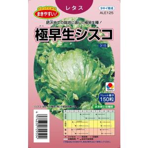 極早生シスコ　ペレット150粒　【タキイ種苗】【レタスの種】