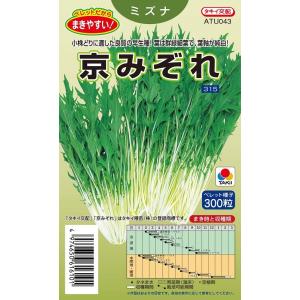 京みぞれ　水菜種子　ペレット300粒　【野菜種子】　【タキイ種苗】【水菜の種】