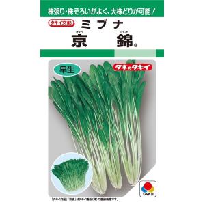 トキタ種苗 森の奏で ネギ種子 ペレット5千粒 【野菜種子】 : 吉谷農芸