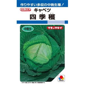 SK9-099 ブロッコリー種子 2000粒 【野菜種子】【サカタのタネ