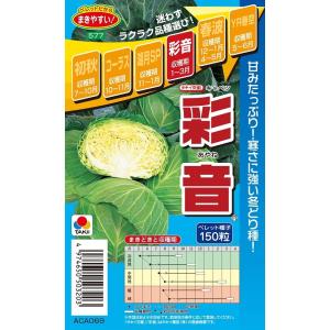 SK9-099 ブロッコリー種子 ペレット5000粒 【野菜種子】【サカタのタネ