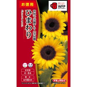 ひまわりの種 F1サンリッチオレンジ 徳用パック FHM602 : 菜園くらぶ