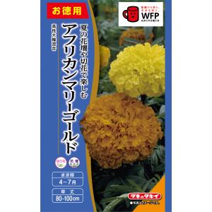 SK9-099 ブロッコリー種子 ペレット5000粒 【野菜種子】【サカタのタネ