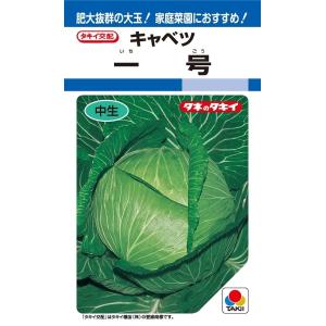 SK9-099 ブロッコリー種子 2000粒 【野菜種子】【サカタのタネ