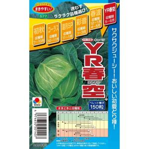 【希少】入荷しました！大人気！ブロッコリー種子 （SK9-099 )5000粒 SK9-099[ブロッコリー] - e-種や｜国内最大級の野菜種・花種・苗・農業