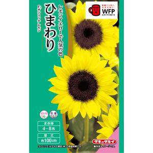 切り花用ひまわりの種の商品一覧 通販 Yahoo ショッピング