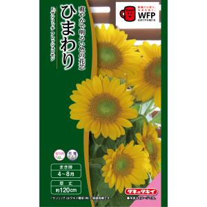 切り花用ひまわりの種の商品一覧 通販 Yahoo ショッピング
