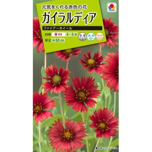 ガイラルディア 花 種 種子 の商品一覧 花 ガーデニング 通販 Yahoo ショッピング