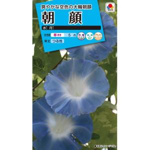 花種 NL150 朝顔 水月 小袋 [FAA64...の商品画像