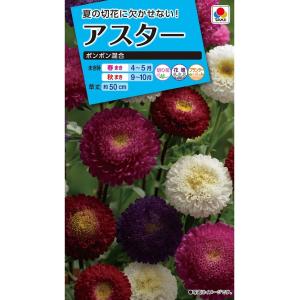 花種　NL150 アスター ポンポン混合 小袋 [FAS109]【花の種】【タキイのタネ】【ガーデニング】