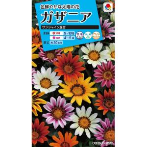 花種　NL150 ガザニア サンシャイン混合 小袋 [FGZ130]【花の種】【タキイのタネ】【ガーデニング】
