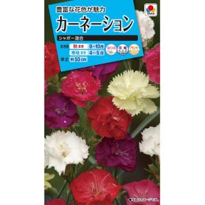 花種　NL150 カーネーション シャボー混合 小袋 [FCN129]【花の種】【タキイのタネ】【ガーデニング】
