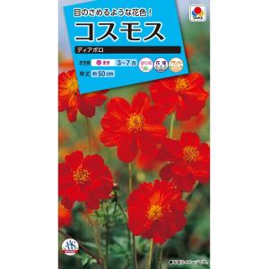 花種　NL150 コスモス ディアボロ 小袋 [FCS332]【花の種】【タキイのタネ】【ガーデニング】