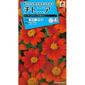 花種　NL150 チトニア　トーチ（メキシコひまわり）　小袋 [FZZ330]【花の種】【タキイのタネ】【ガーデニング】